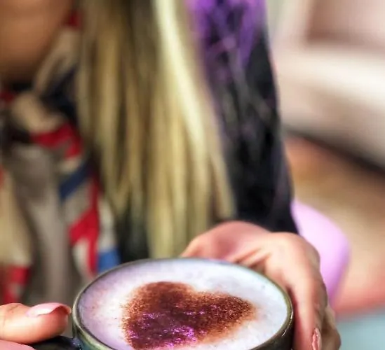 Hotel Aiden By Western & Clermont-Ferrand